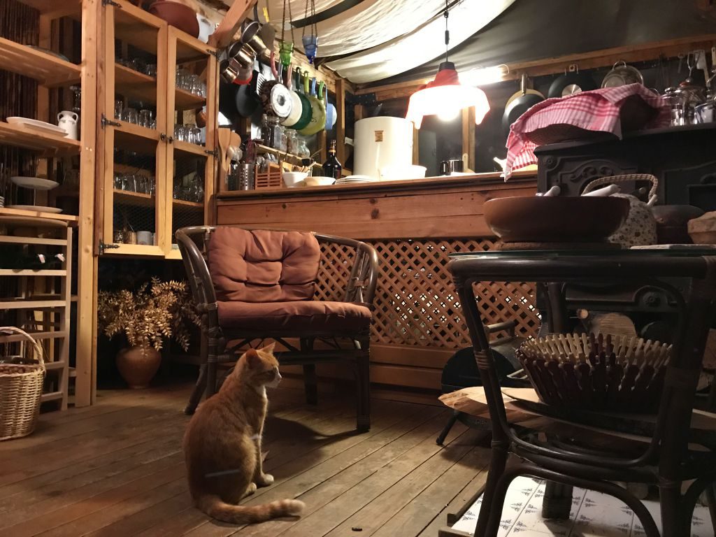 airbnb ev kiralama