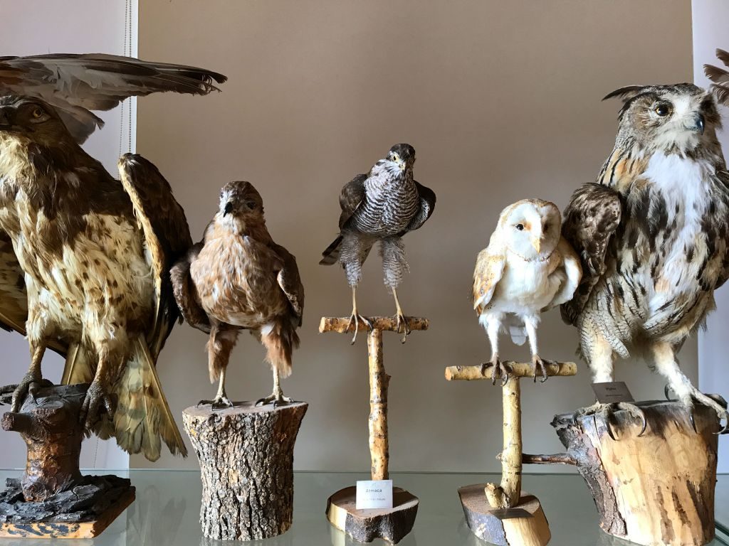 dilek yarımadası milli parkı