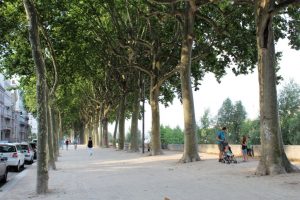 fransa lyon gezilecek yerler