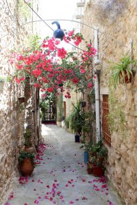 sakız adası yunanistan