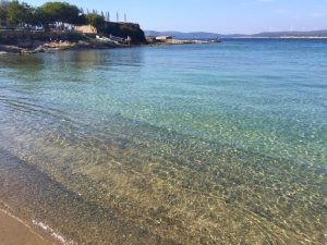 akkum sığacık seferihisar