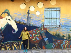 birgi köyü ödemiş