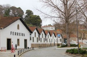 porto portekiz şarap