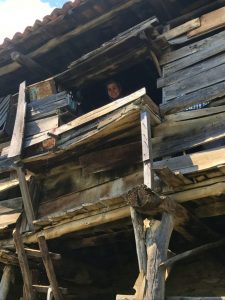 ödemiş lübbey köyü