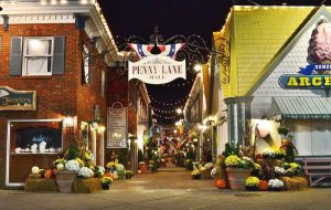 rehoboth beach work and travel