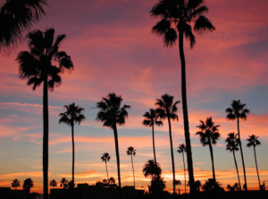 los angeles amerika work and travel