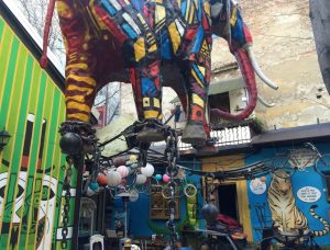 belgrad gece hayatı