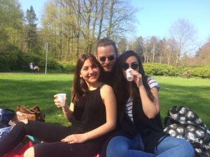 hollanda yüksek lisans