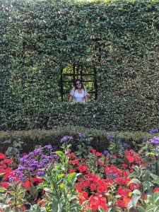 amsterdam iş hayatı