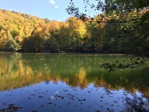 yedigöller milli parkı