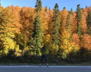 yedigöller sonbahar