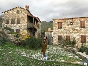 doğanbey köyü söke