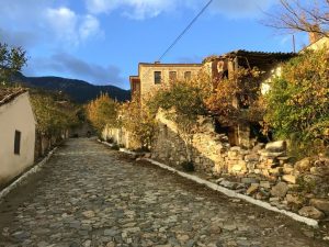 güllübahçe köyü söke