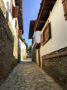 ödemiş birgi gezilecek yerler