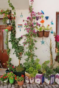 sığacık seferihisar