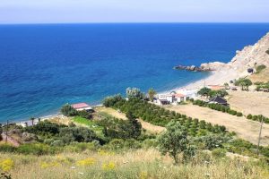 Karaburun hamzabükü