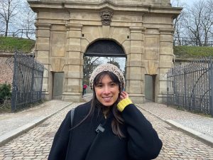 çekya'da yüksek lisans