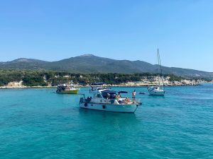 hanımın koyu dikili