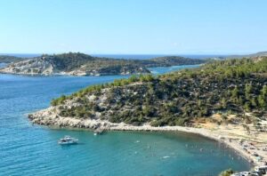 hayıtlı koyu dikili