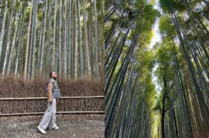 japonya gezilecek yerler