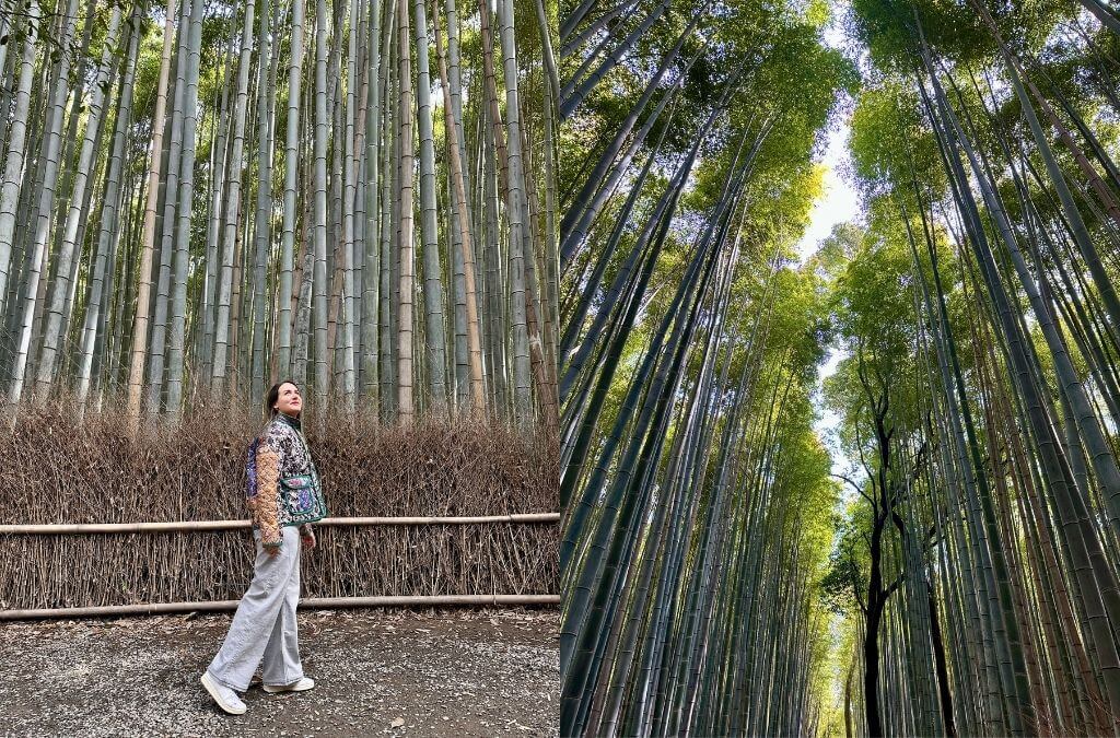 japonya gezilecek yerler