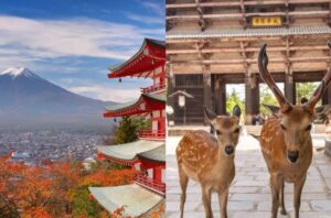 japonya günübirlik geziler nara fuji