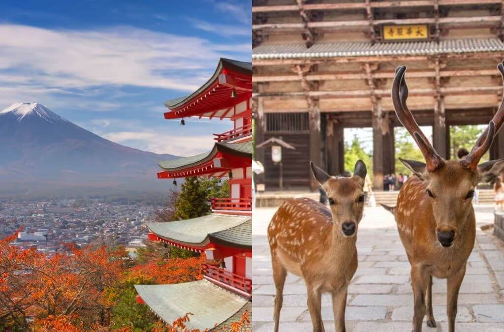 japonya günübirlik geziler nara fuji
