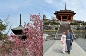 japonya sakura zamanı