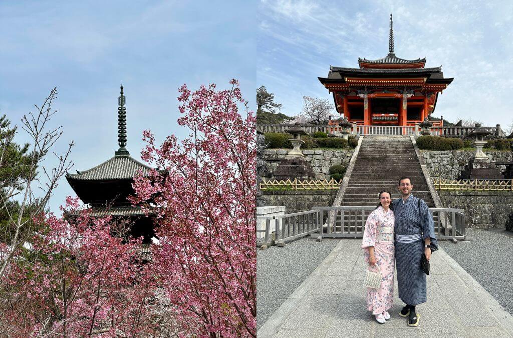 japonya sakura zamanı