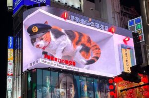 tokyo gezilecek yerler