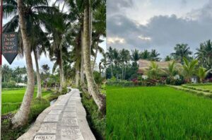 bali ubud gezilecek yerler